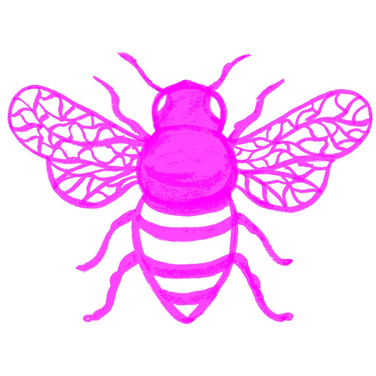 Pink  Honey Bee Creeper