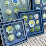 Painted 4 Sea Shell Hydrangea on Whitewashed Blue