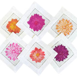Dahlia Flower Cocktail Napkins (set of 6)