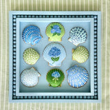 Painted Sea Shell Hydrangea Blues Art