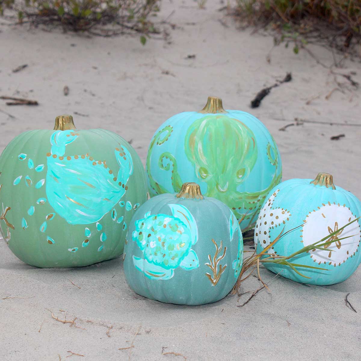 Small Coastal Painted Pumpkins