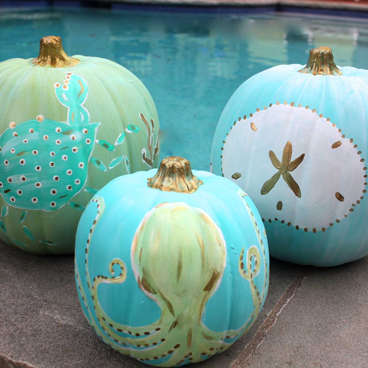 Large Coastal Painted Pumpkins - Thumbnail 3