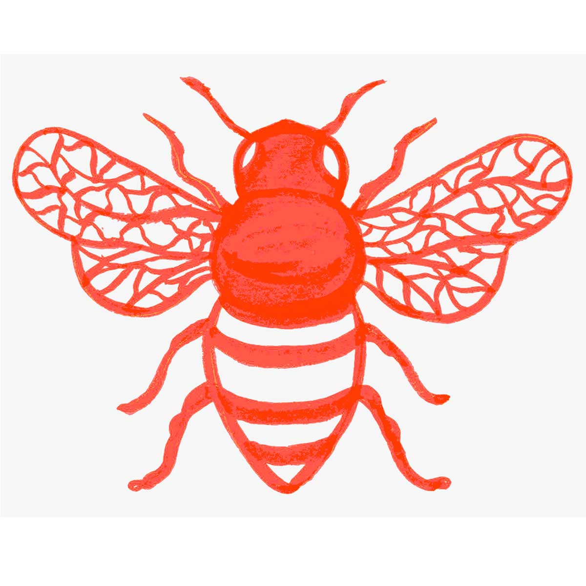 Red Honey Bee Creeper